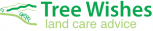 tree wishes logo 300x61