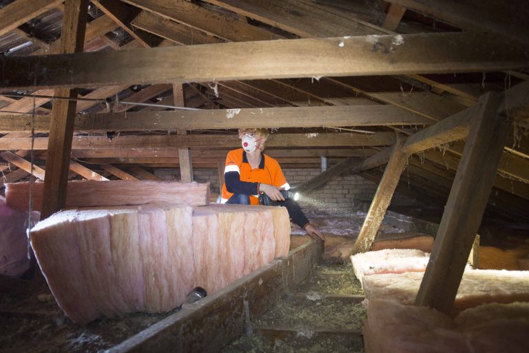 mainslider enviro03 768x512